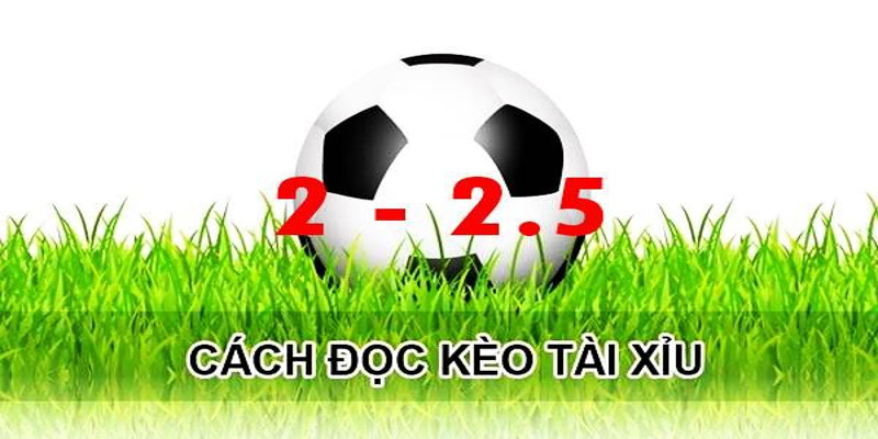 Hướng dẫn chơi tài xỉu bóng đá 2/2.5